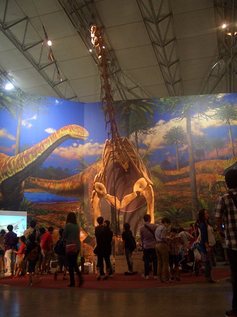 トゥリアサウルス復元骨格（半身）