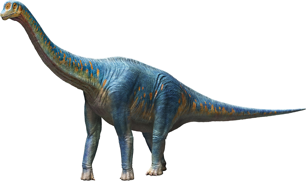 エウロパサウルス　復元画